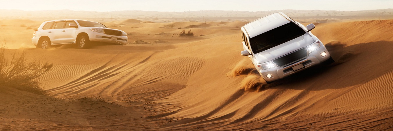 Desert Safari Tours